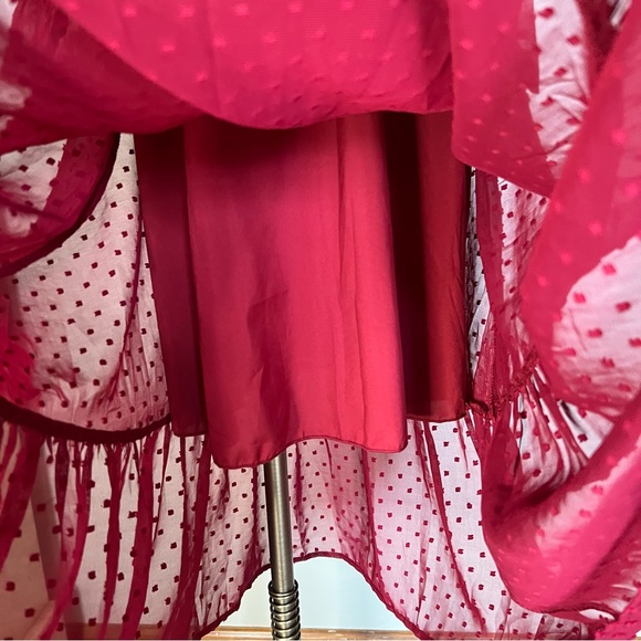 NWT, BTFBM V-Neck Maxi Dress with a Sheer Swiss Dot Overlay and Tie, Size Medium - Picture 9 of 15